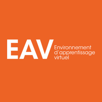 Environnements d’apprentissage virtuel (EAV)